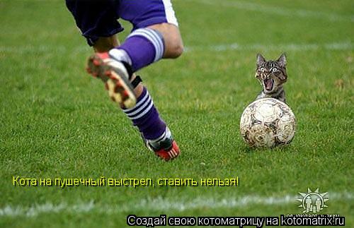 Котоматрица: Кота на пушечный выстрел, ставить нельзя!