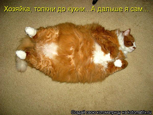 Котоматрица: Хозяйка, толкни до кухни...А дальше я сам...