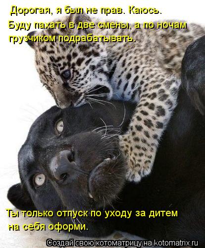 Дорогая, я был не прав. Каюсь. Буду пахать в две смены, а по ночам грузчиком подрабатывать. Ты толь... Котоматрица: Дорогая, я был не прав. Каюсь. Буду пахать в две смены, а по ночам грузчиком подрабатывать. Ты только отпуск по уходу за дитем на себя оформи.