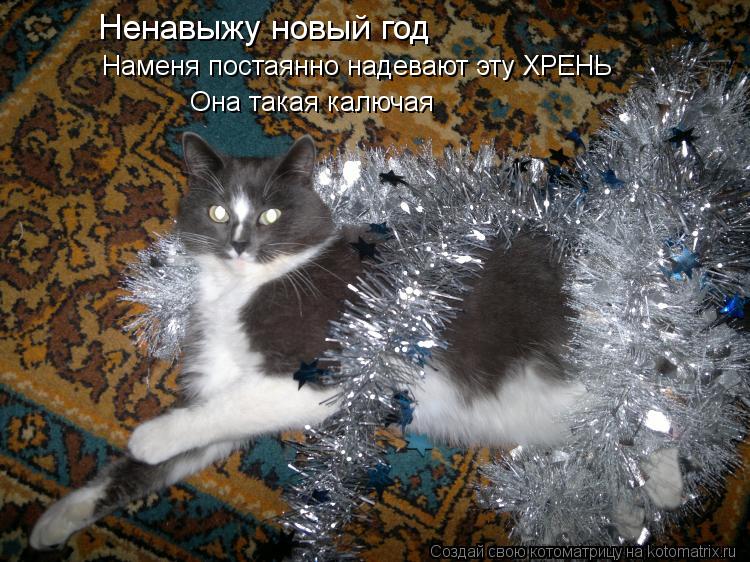Котоматрица: Ненавыжу новый год Наменя постаянно надевают эту ХРЕНЬ Она такая калючая