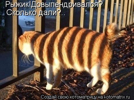 Рыжик!Я тебе говорил,не зарекайся? Рыжик!Довыпендривался? Сколько дали?..... Котоматрица: Рыжик!Я тебе говорил,не зарекайся? Рыжик!Довыпендривался? Сколько дали?..