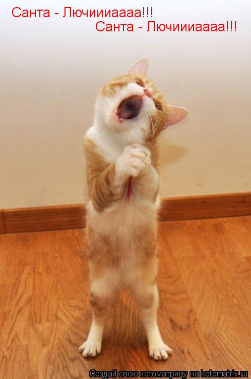 Санта - Лючиииаааа!!! Санта - Лючиииаааа!!!... Котоматрица: Санта - Лючиииаааа!!! Санта - Лючиииаааа!!!