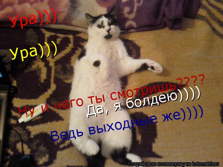 Ну и чего ты смотришь???? Да, я болдею)))) Ведь выходные же)))) Ура))) Ура)))... Котоматрица: Ну и чего ты смотришь???? Да, я болдею)))) Ведь выходные же)))) Ура))) Ура)))