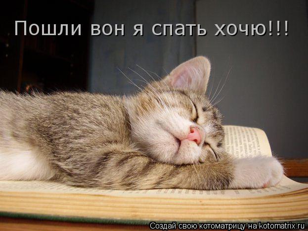 Пошли вон я спать хочю!!!... Котоматрица: Пошли вон я спать хочю!!!