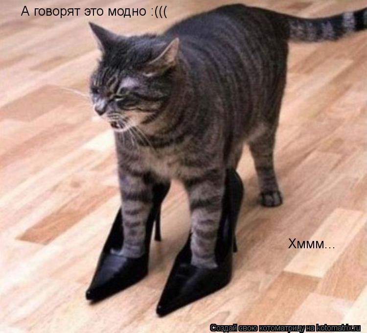 А говорят это модно :((( Хммм...... Котоматрица: А говорят это модно :((( Хммм...