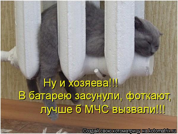 Ну и хозяева!!! В батарею засунули, фоткают, лучше б МЧС вызвали!!!... Котоматрица: Ну и хозяева!!! В батарею засунули, фоткают, лучше б МЧС вызвали!!!