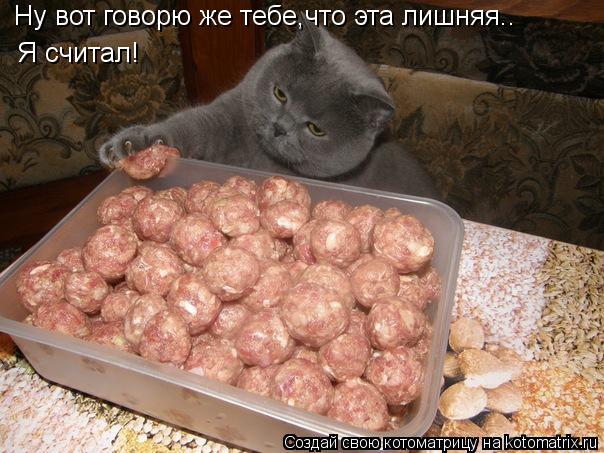 Ну вот говорю же тебе,что эта лишняя.. Я считал!... Котоматрица: Ну вот говорю же тебе,что эта лишняя.. Я считал!