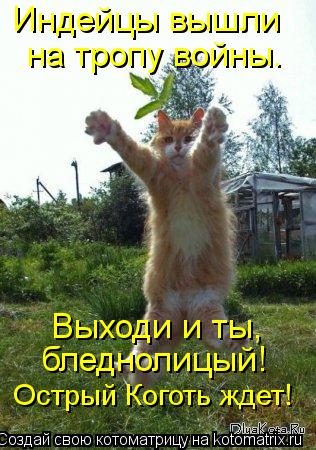 Индейцы вышли на тропу войны. Выходи и ты, бледнолицый! Острый Коготь ждет!... Котоматрица: Индейцы вышли на тропу войны. Выходи и ты, бледнолицый! Острый Коготь ждет!