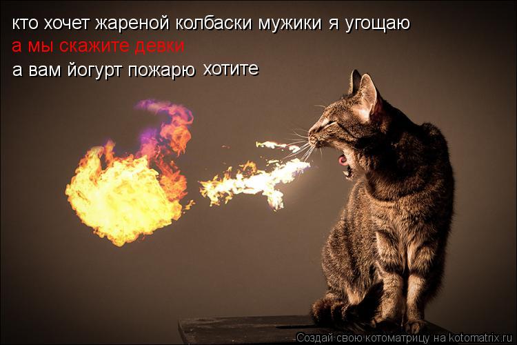 кто хочет жареной колбаски мужики я угощаю а мы скажите девки а вам йогурт пожарю хотите... Котоматрица: кто хочет жареной колбаски мужики я угощаю а мы скажите девки а вам йогурт пожарю хотите