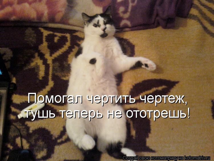 Помогал чертить чертеж, тушь теперь не ототрешь!... Котоматрица: Помогал чертить чертеж, тушь теперь не ототрешь!