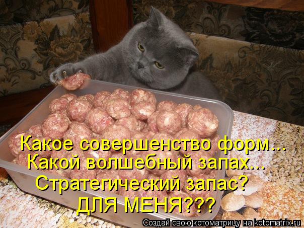 Какое совершенство форм... Какой волшебный запах... Стратегический запас? ДЛЯ МЕНЯ???... Котоматрица: Какое совершенство форм... Какой волшебный запах... Стратегический запас? ДЛЯ МЕНЯ???