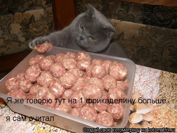 Я же говорю тут на 1 фрикаделину больше я сам считал... Котоматрица: Я же говорю тут на 1 фрикаделину больше я сам считал