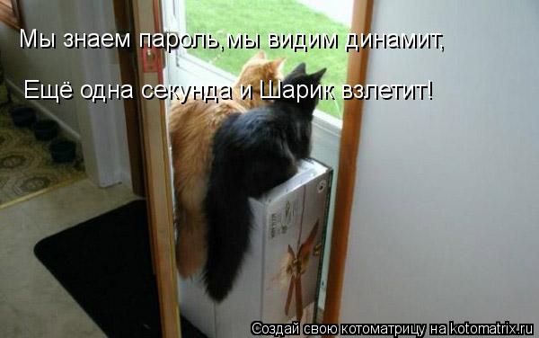 Мы знаем пароль,мы видим динамит, Ещё одна секунда и Шарик взлетит!... Котоматрица: Мы знаем пароль,мы видим динамит, Ещё одна секунда и Шарик взлетит!