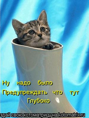 Ну надо было Предупреждать что тут Глубоко... Котоматрица: Ну надо было Предупреждать что тут Глубоко