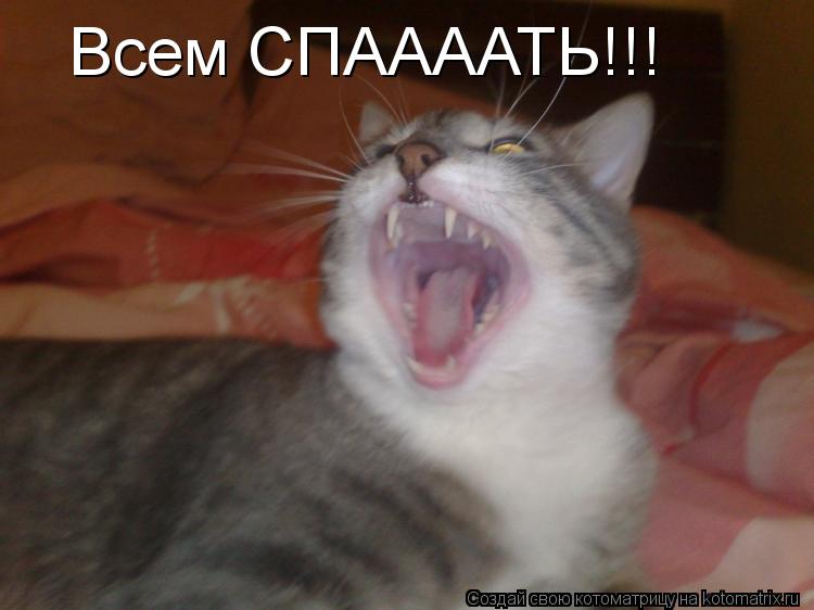 Всем СПААААТЬ!!!... Котоматрица: Всем СПААААТЬ!!!