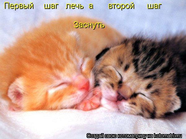 Первый шаг лечь а второй шаг Заснуть... Котоматрица: Первый шаг лечь а второй шаг Заснуть