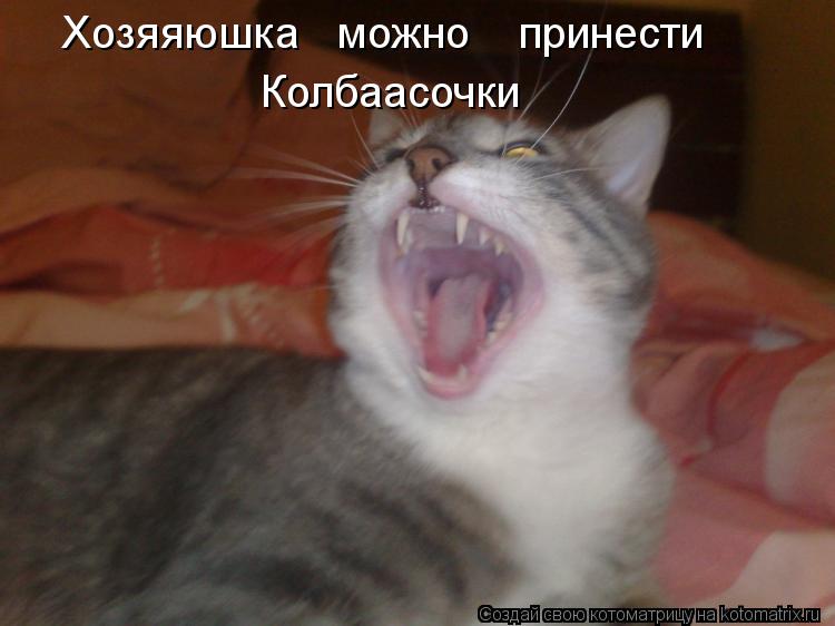 Хозяяюшка можно принести Колбаасочки... Котоматрица: Хозяяюшка можно принести Колбаасочки