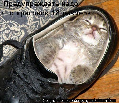 Предупреждать надо что красовок 18 размера... Котоматрица: Предупреждать надо что красовок 18 размера
