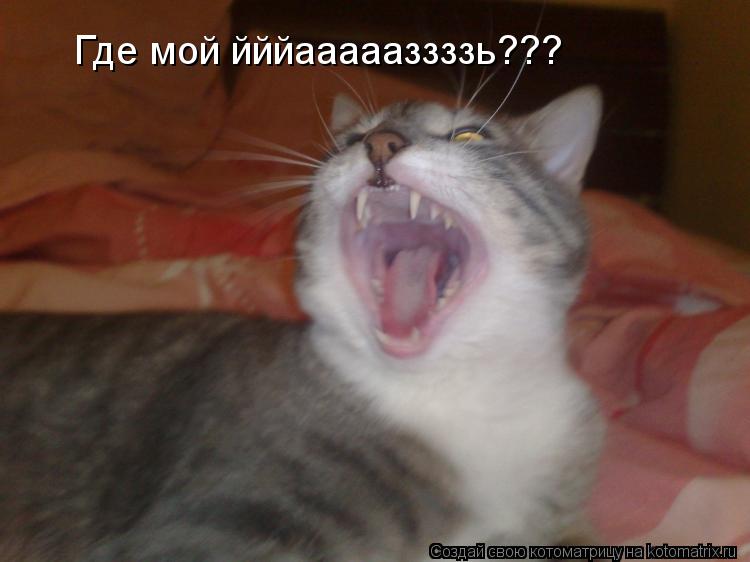 Где мой йййаааааззззь???... Котоматрица: Где мой йййаааааззззь???