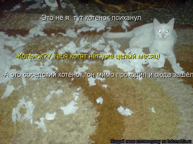 -Это не я, тут котёнок психанул. -Котёнок?У тебя котят нет уже целый месяц! -А это соседский котёнок,... Котоматрица: -Это не я, тут котёнок психанул. -Котёнок?У тебя котят нет уже целый месяц! -А это соседский котёнок, он мимо проходил и сюда зашёл..
