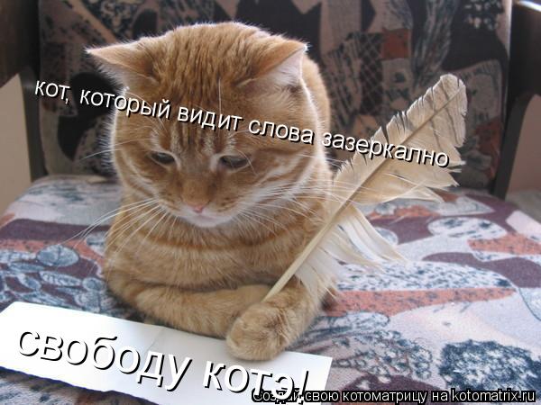 свободу котэ! кот, который видит слова зазеркално... Котоматрица: свободу котэ! кот, который видит слова зазеркално