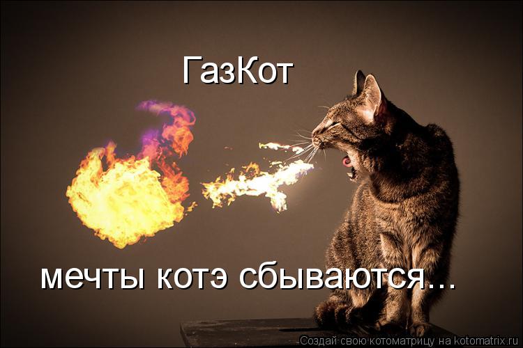 ГазКот мечты котэ сбываются...... Котоматрица: ГазКот мечты котэ сбываются...