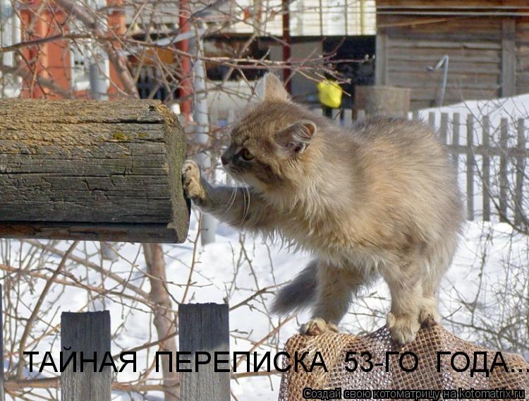 ТАЙНАЯ ПЕРЕПИСКА 53-ГО ГОДА...... Котоматрица: ТАЙНАЯ ПЕРЕПИСКА 53-ГО ГОДА...