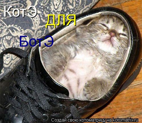 КотЭ ДЛЯ БотЭ... Котоматрица: КотЭ ДЛЯ БотЭ