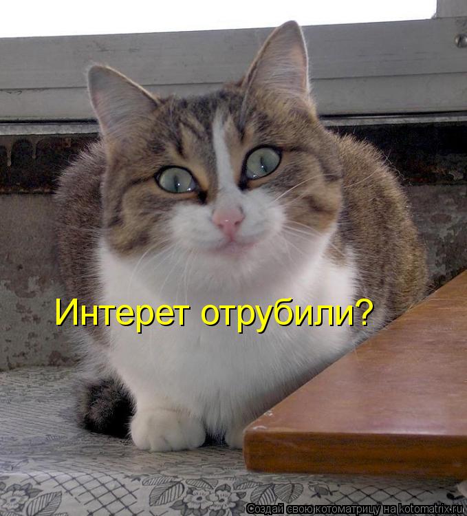 Интерет отрубили?... Котоматрица: Интерет отрубили?