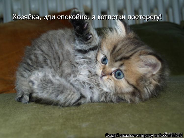 Котоматрица: Хозяйка, иди спокойно, я котлетки постерегу!