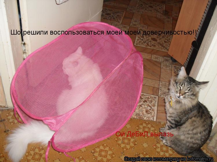 Шо,решили воспользоваться моей моей доверчивостью!! Ой ДеБиЛ,вылазь... Котоматрица: Шо,решили воспользоваться моей моей доверчивостью!! Ой ДеБиЛ,вылазь