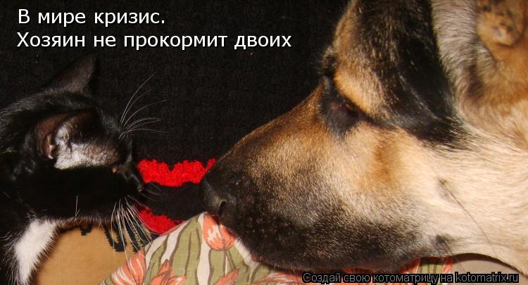 В мире кризис. Хозяин не прокормит двоих... Котоматрица: В мире кризис. Хозяин не прокормит двоих