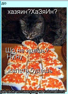 Котоматрица: хазяин?ХаЗяИн? Шо,не идешь? Ну,ну жалеть будешь