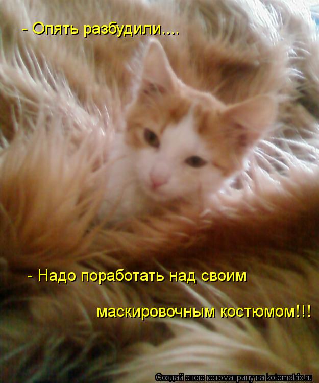 Котоматрица: - Опять разбудили.... - Надо поработать над своим маскировочным костюмом!!!