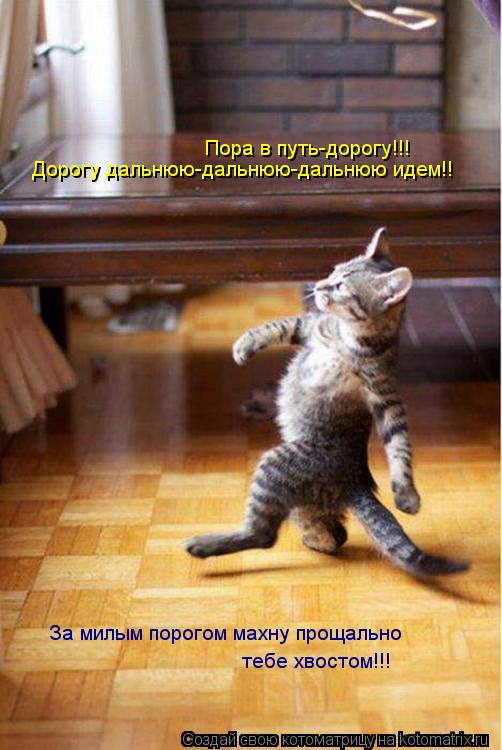 Котоматрица: Дорогу дальнюю-дальнюю-дальнюю идем!! Пора в путь-дорогу!!!  За милым порогом махну прощально  тебе хвостом!!!