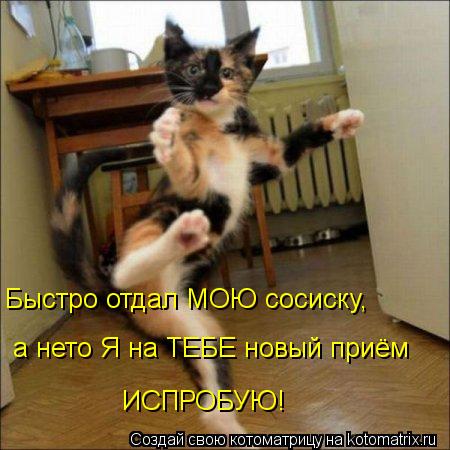 Быстро отдал МОЮ сосиску, а нето Я на ТЕБЕ новый приём ИСПРОБУЮ!... Котоматрица: Быстро отдал МОЮ сосиску, а нето Я на ТЕБЕ новый приём ИСПРОБУЮ!