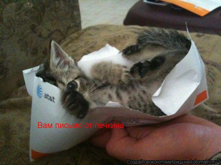 Вам письмо от печкина... Котоматрица: Вам письмо от печкина