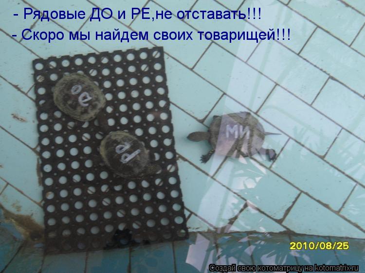 - Рядовые ДО и РЕ,не отставать!!! - Скоро мы найдем своих товарищей!!!... Котоматрица: - Рядовые ДО и РЕ,не отставать!!! - Скоро мы найдем своих товарищей!!!