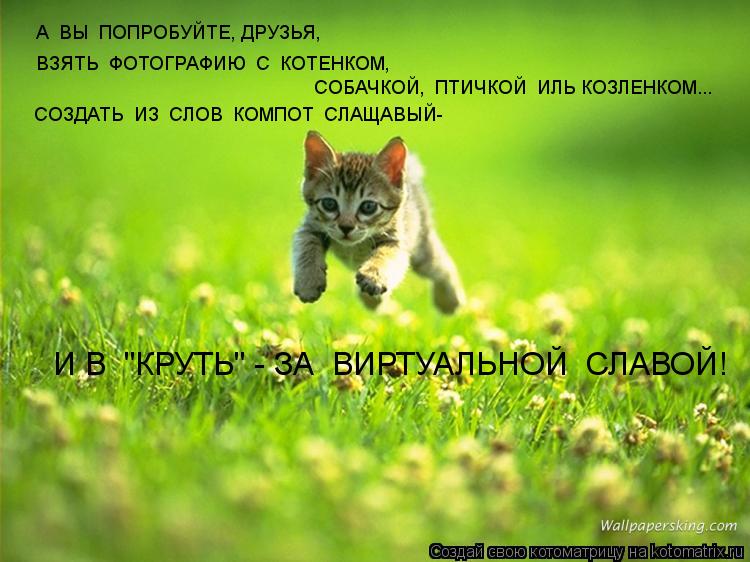Котоматрица: А  ВЫ  ПОПРОБУЙТЕ, ДРУЗЬЯ, ВЗЯТЬ  ФОТОГРАФИЮ  С  КОТЕНКОМ,  СОБАЧКОЙ,  ПТИЧКОЙ  ИЛЬ КОЗЛЕНКОМ... СОЗДАТЬ  ИЗ  СЛОВ  КОМПОТ  СЛАЩАВЫЙ- И В  "КРУТЬ" - З
