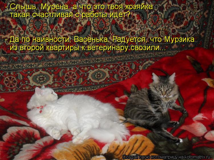 - Слышь, Мурёна, а что это твоя хозяйка такая счастливая с работы идёт? из второй квартиры к ветерин... Котоматрица: - Слышь, Мурёна, а что это твоя хозяйка такая счастливая с работы идёт? из второй квартиры к ветеринару свозили... - Да по наивности, Васенька.
