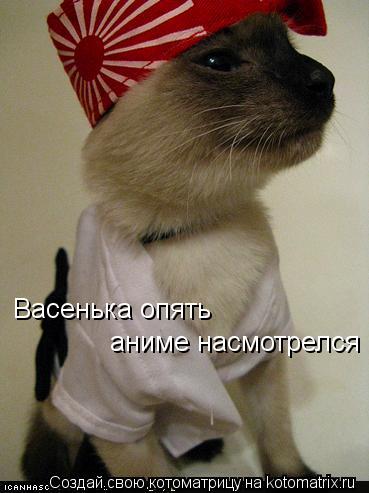 Котоматрица: Васенька опять аниме насмотрелся