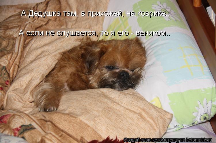 Котоматрица: а х А Дедушка там, в прихожей, на коврике... А если не слушается, то я его - веником...