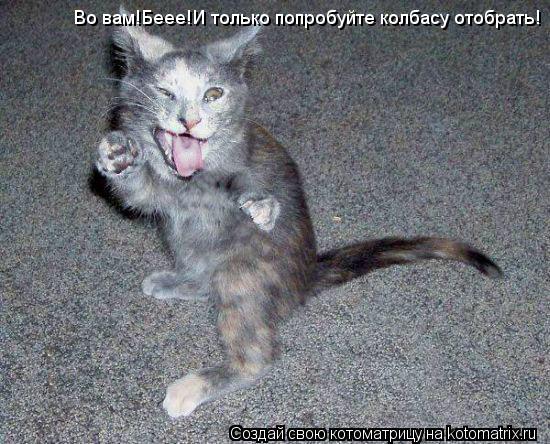 Во вам!Беее!И только попробуйте колбасу отобрать!... Котоматрица: Во вам!Беее!И только попробуйте колбасу отобрать!