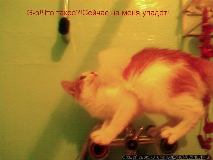 Э-э!Что такое?!Сейчас на меня упадёт!... Котоматрица: Э-э!Что такое?!Сейчас на меня упадёт!