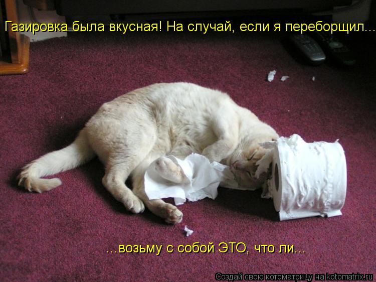 Газировка была вкусная! На случай, если я переборщил... ...возьму с собой ЭТО, что ли...... Котоматрица: Газировка была вкусная! На случай, если я переборщил... ...возьму с собой ЭТО, что ли...