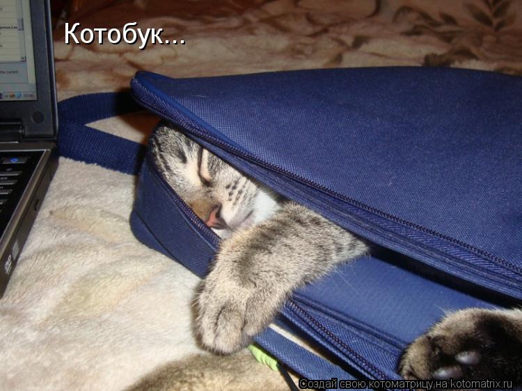 Котобук...... Котоматрица: Котобук...