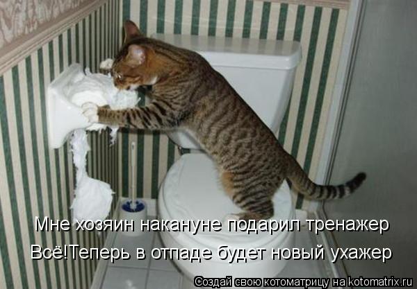Мне хозяин накануне подарил тренажер Всё!Теперь в отпаде будет новый ухажер... Котоматрица: Мне хозяин накануне подарил тренажер Всё!Теперь в отпаде будет новый ухажер
