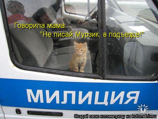 "Не писай,Мурзик, в подъезде!" Говорила мама:... Котоматрица: "Не писай,Мурзик, в подъезде!" Говорила мама: