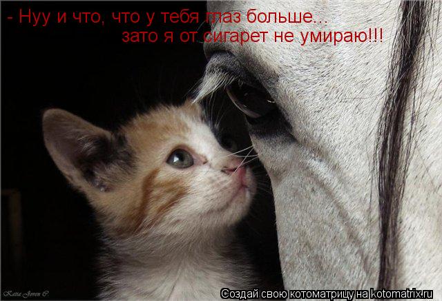 - Нуу и что, что у тебя глаз больше... зато я от сигарет не умираю!!!... Котоматрица: - Нуу и что, что у тебя глаз больше... зато я от сигарет не умираю!!!