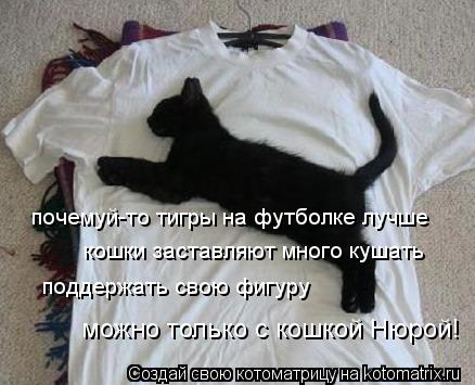 почемуй-то тигры на футболке лучше кошки заставляют много кушать поддержать свою фигуру можно только ... Котоматрица: почемуй-то тигры на футболке лучше кошки заставляют много кушать поддержать свою фигуру можно только с кошкой Нюрой!